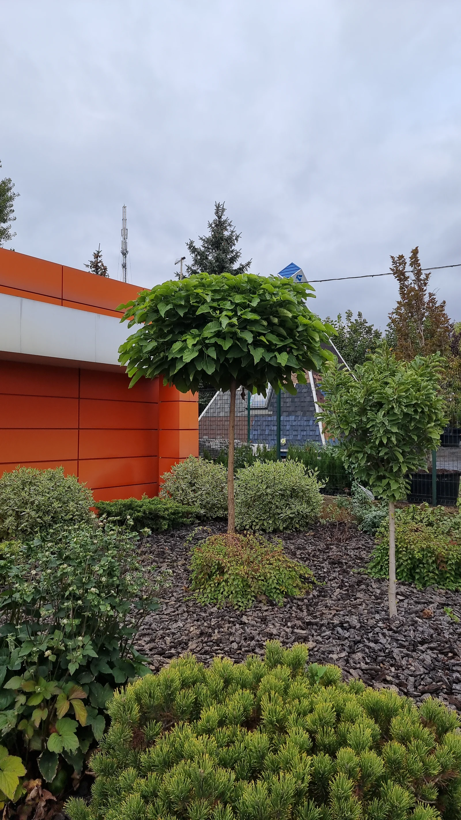 Landscaping project #1 in Kelowna, BC — EcoForest